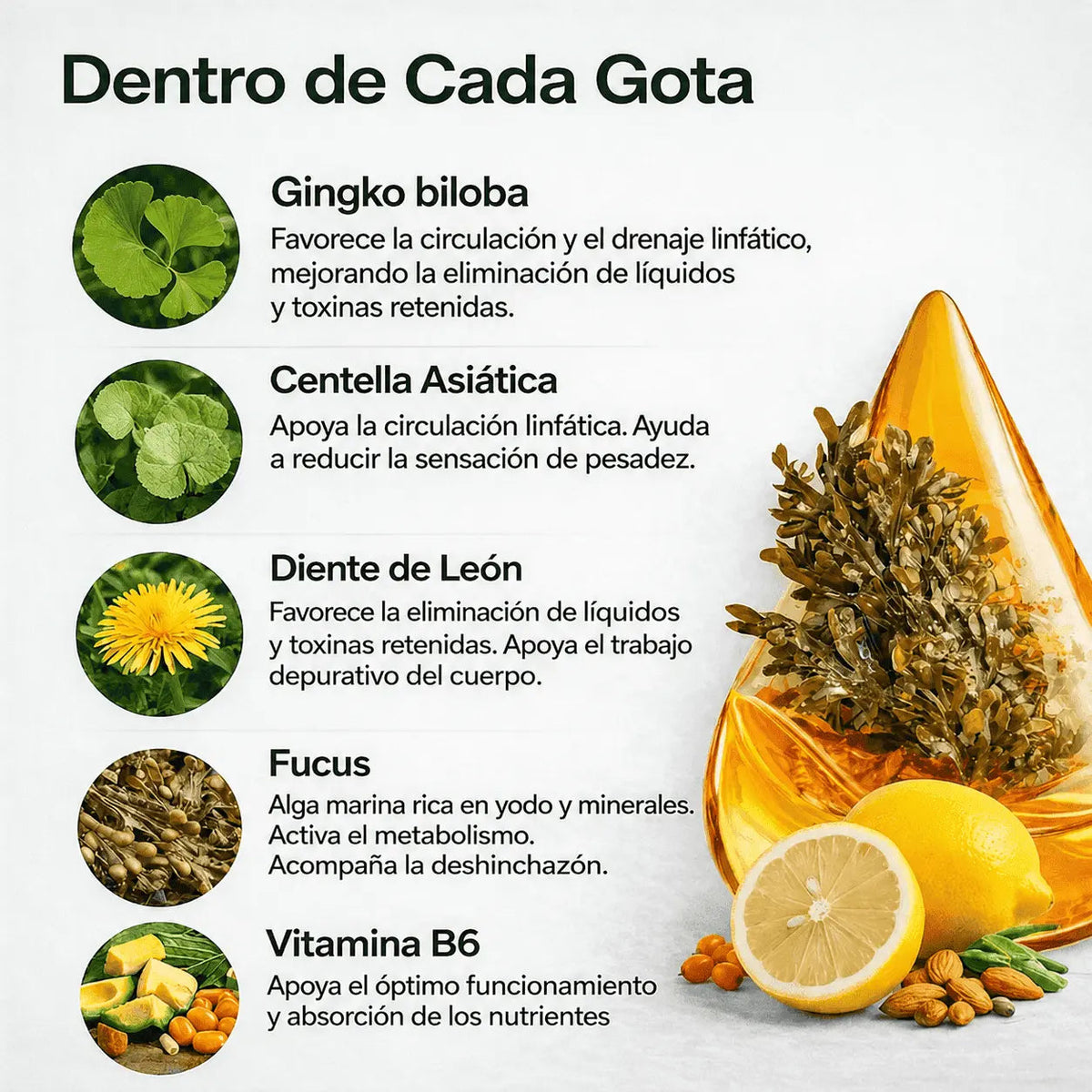 PurezaDrops™ | Drena Naturalmente la Hinchazón del Rostro, Abdomen y Piernas